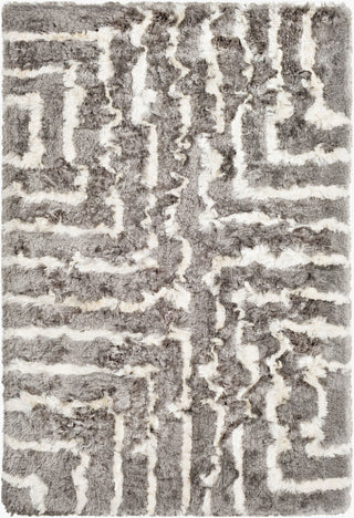 Surya Corsair CSR-1005 Area Rug main image