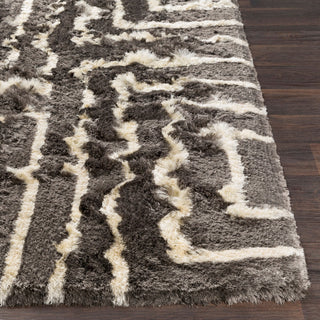 Surya Corsair CSR-1005 Area Rug Detail Image