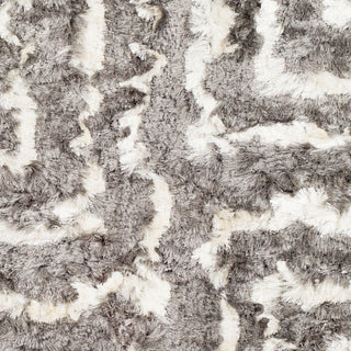 Surya Corsair CSR-1005 Area Rug Swatch