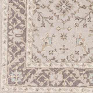 Surya Castille CTL-2000 Area Rug Swatch