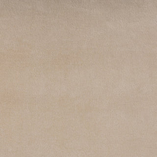 Surya Cotton Velvet CV-049 Light Beige Detail