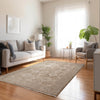 Dalyn Cyprus CY5 Khaki Area Rug Lifestyle Image Feature