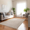 Dalyn Cyprus CY8 Beige Area Rug Lifestyle Image Feature