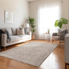 Dalyn Cyprus CY9 Silver Area Rug Lifestyle Image Feature