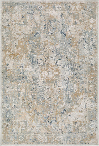 Livabliss Canyon CYY-2303 Area Rug main image