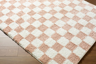 Livabliss Czechia CZE-2300 Area Rug Corner Shot