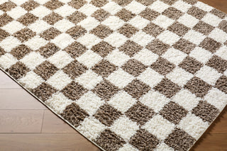 Livabliss Czechia CZE-2301 Area Rug Corner Shot