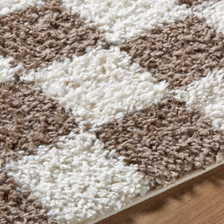 Livabliss Czechia CZE-2301 Area Rug Detail