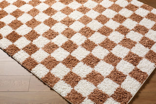 Livabliss Czechia CZE-2302 Area Rug Corner Shot
