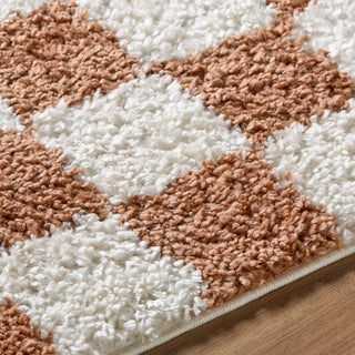 Livabliss Czechia CZE-2302 Area Rug Detail