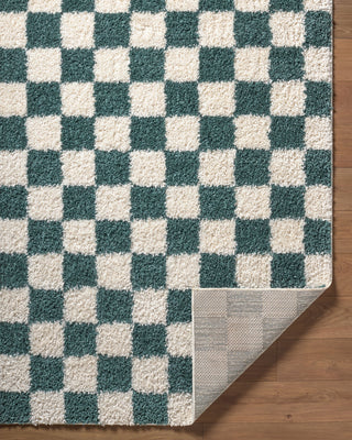 Livabliss Czechia CZE-2303 Area Rug Pile