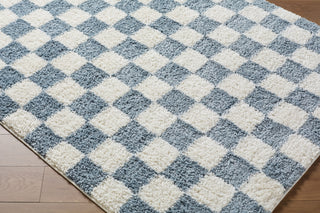 Livabliss Czechia CZE-2304 Area Rug Corner Shot