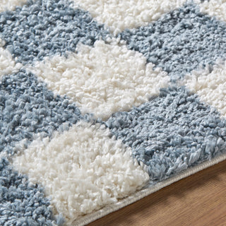 Livabliss Czechia CZE-2304 Area Rug Detail