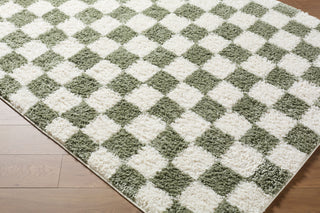 Livabliss Czechia CZE-2305 Area Rug Corner Shot
