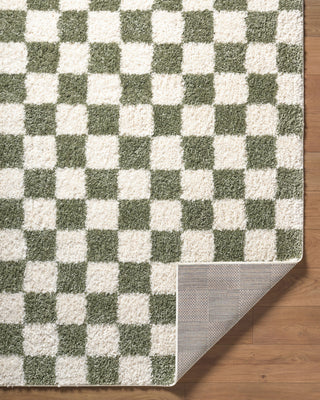 Livabliss Czechia CZE-2305 Area Rug Pile