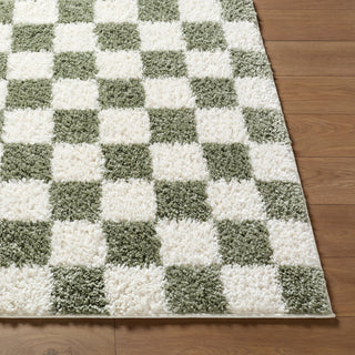 Livabliss Czechia CZE-2305 Area Rug Angle
