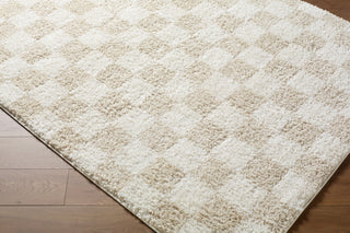 Livabliss Czechia CZE-2306 Area Rug Corner Shot