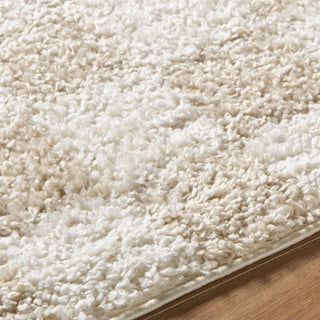 Livabliss Czechia CZE-2306 Area Rug Detail