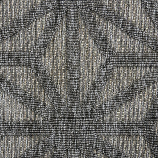 Nourison Cozumel CZM01 Dark Grey Area Rug Swatch Image