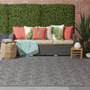 Nourison Cozumel CZM01 Dark Grey Area Rug Room Image Feature