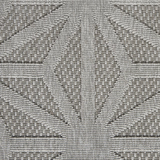 Nourison Cozumel CZM01 Light Grey Area Rug Swatch Image