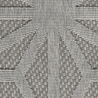 Nourison Cozumel CZM01 Light Grey Area Rug Swatch Image