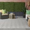 Nourison Cozumel CZM01 Light Grey Area Rug Room Image Feature