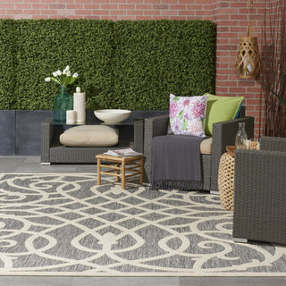 Nourison Cozumel CZM04 Grey Area Rug Room Image Feature