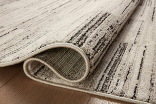 Loloi II Darby DAR-01 Charcoal/Sand Area Rug