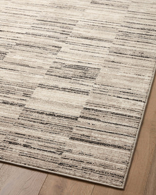 Loloi II Darby DAR-01 Charcoal/Sand Area Rug