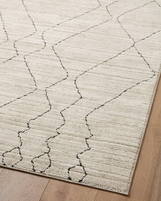 Loloi II Darby DAR-03 Sand/Charcoal Area Rug