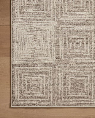 Loloi II Darby DAR-05 Beige/Grey Area Rug