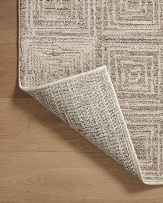 Loloi II Darby DAR-05 Beige/Grey Area Rug