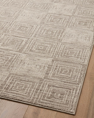 Loloi II Darby DAR-05 Beige/Grey Area Rug