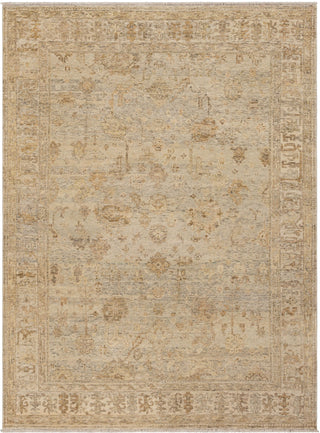 Karastan Sundar Dayalu Silver Area Rug main image