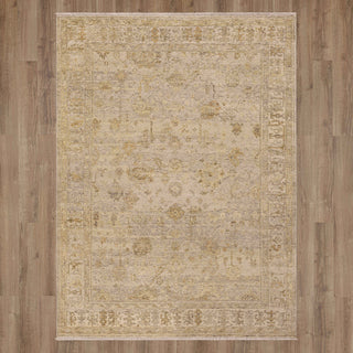 Karastan Sundar Dayalu Silver Area Rug Main Image