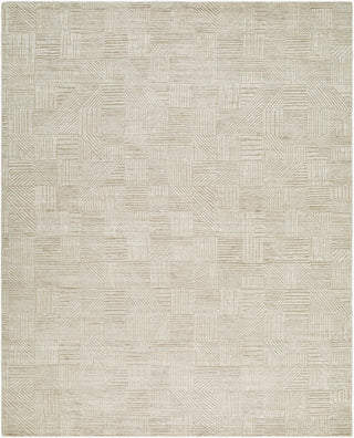 Surya Dilber DBR-2301 The Prominent Colors In This Home Decor Item Are: 'beige Area Rug main image