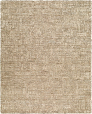 Surya Dilber DBR-2303-Taupe-Sandstone-Beige Area Rug main image
