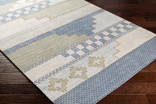 Surya Didim DDM-2300 Area Rug Main