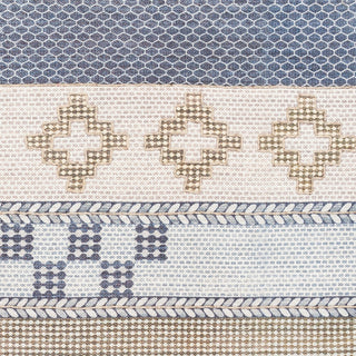 Surya Didim DDM-2300 Area Rug Swatch