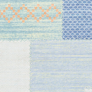 Surya Didim DDM-2301 Area Rug Swatch