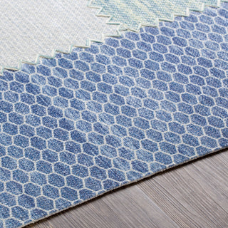 Surya Didim DDM-2301 Area Rug Detail