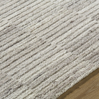Livabliss Dundee DDU-2302 Beige Area Rug Detail