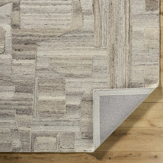 Livabliss Dundee DDU-2303 Beige Area Rug Pile