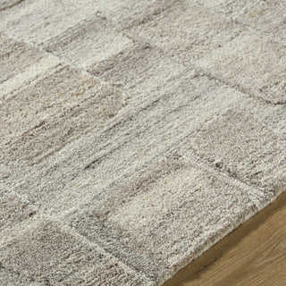 Livabliss Dundee DDU-2303 Beige Area Rug Detail