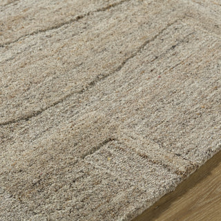 Livabliss Dundee DDU-2304 Beige Area Rug Detail
