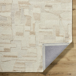Livabliss Dundee DDU-2305 Ivory Area Rug Pile