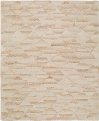 Livabliss Dundee DDU-2306 Area Rug main image