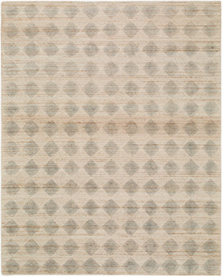 Livabliss Dundee DDU-2307 Area Rug main image