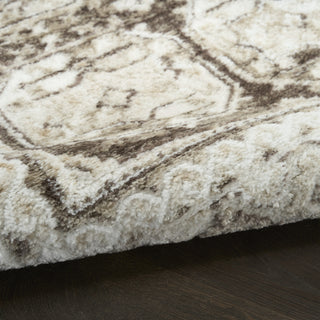 Nourison Dekor DEK01 Ivory Brown Area Rug Detail Image
